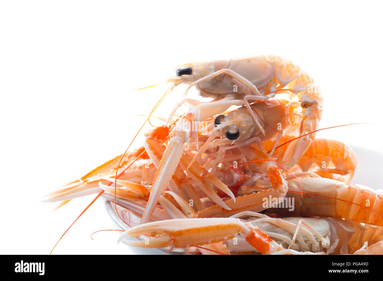 Eine Schüssel von Roh, nicht gekocht schottischen Langustinen, Nephrops norvegicus, gekauft von einem Supermarkt und in einem Studio fotografiert auf einem weißen Hintergrund. Die Stockfoto