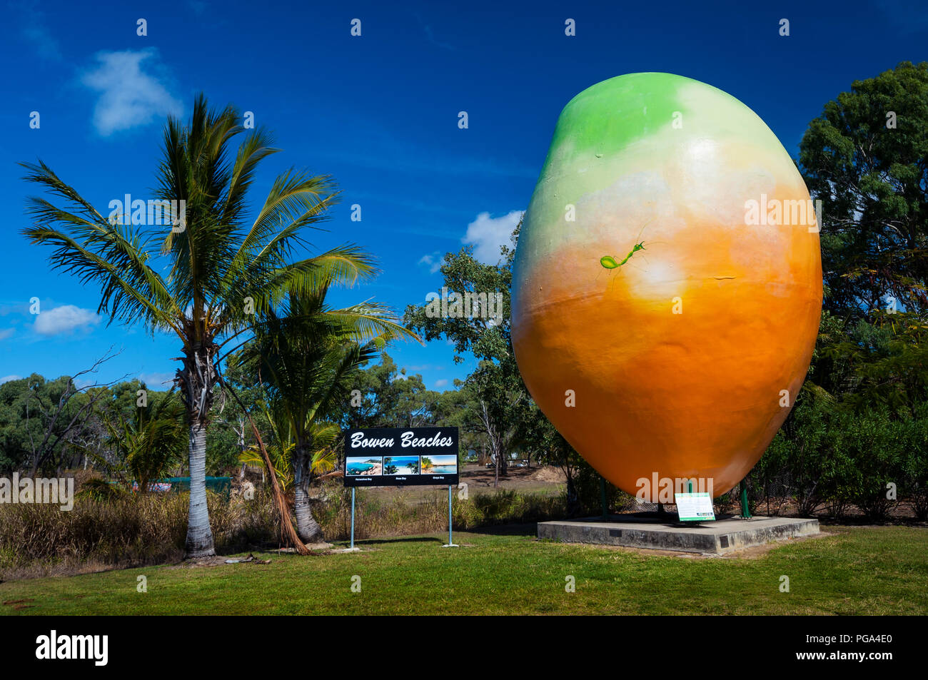Berühmte Big Mango am Besucherzentrum in tropischen Bowen. Stockfoto