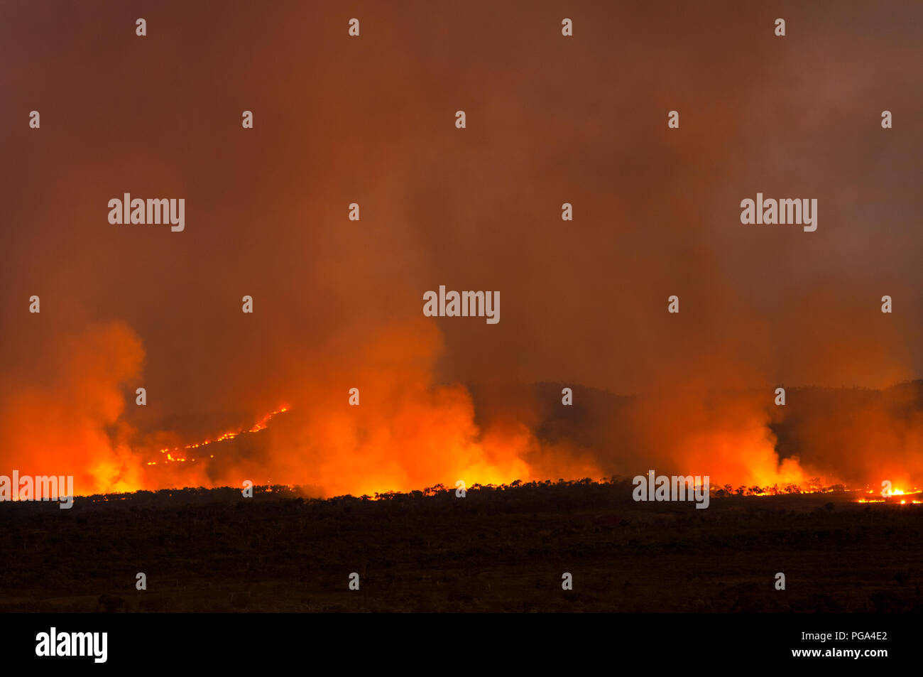 Buschfeuer in der Kimberley Region. Stockfoto