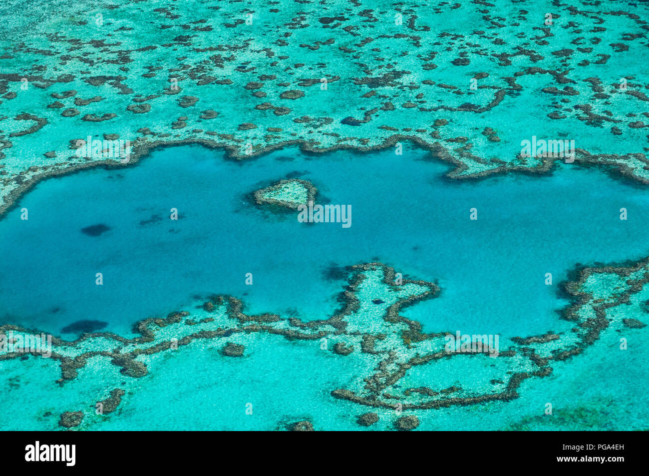 Berühmte Herzen Reef eingebettet in Great Barrier Reef. Stockfoto