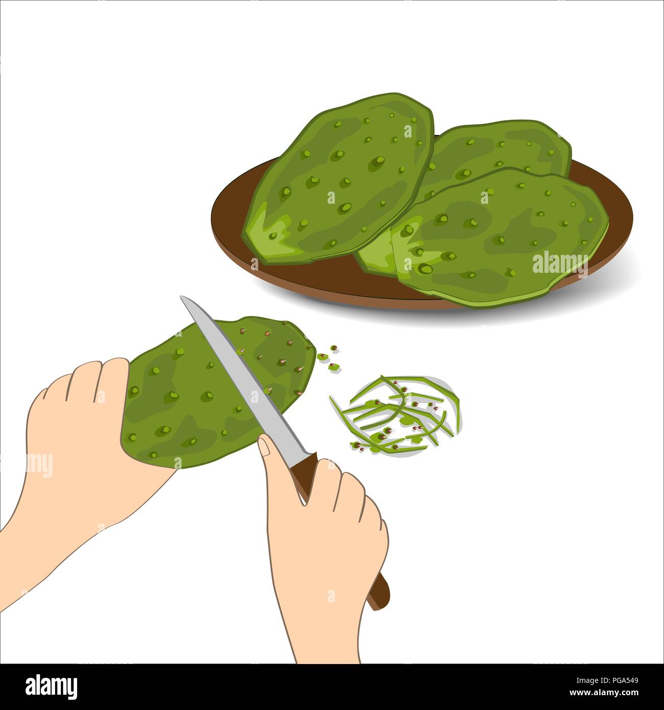 Essbaren grünen Kaktus Blätter oder nopales auf weißem Hintergrund. Hand Vektor-illustration adout gezeichnet Vorbereitung Kakteen essen. Feigenkakteen Paddles Stock Vektor