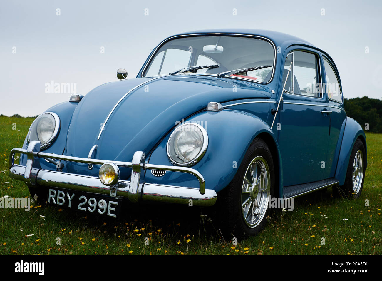 Knebworth, Hertfordshire/UK - 30. August 2015: ein Klassiker, Blau Volkswagen Beetle Auto auf einer mit Blumen bedeckten Wiese Stockfoto
