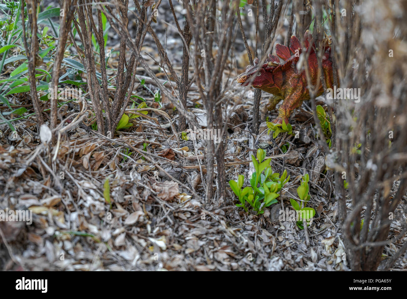 Dinosaurier Spielzeug in den Wald, die ihre ehemalige Residenz simuliert Stockfoto