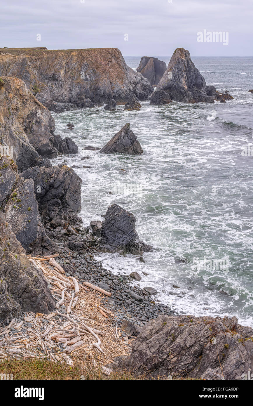 Felsige Küste und den Pazifischen Ozean. Punkt St. George, Crescent City, Kalifornien, USA. Stockfoto