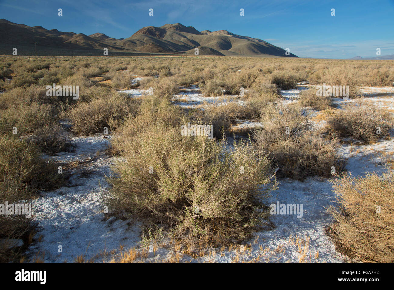 Alkali flach Fotos und Bildmaterial in hoher Auflösung Alamy