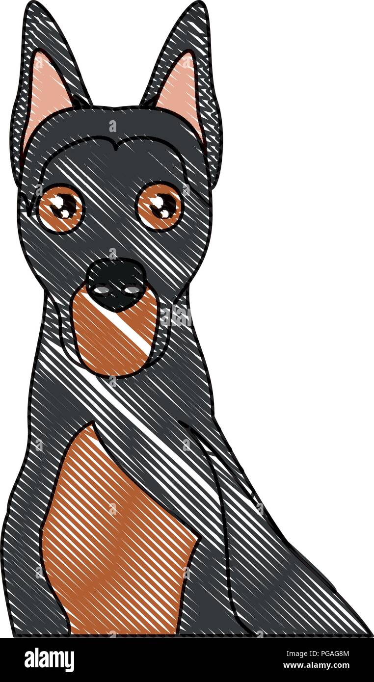 Süße Dobermann hund Symbol auf weißem Hintergrund, Vector Illustration Stock Vektor