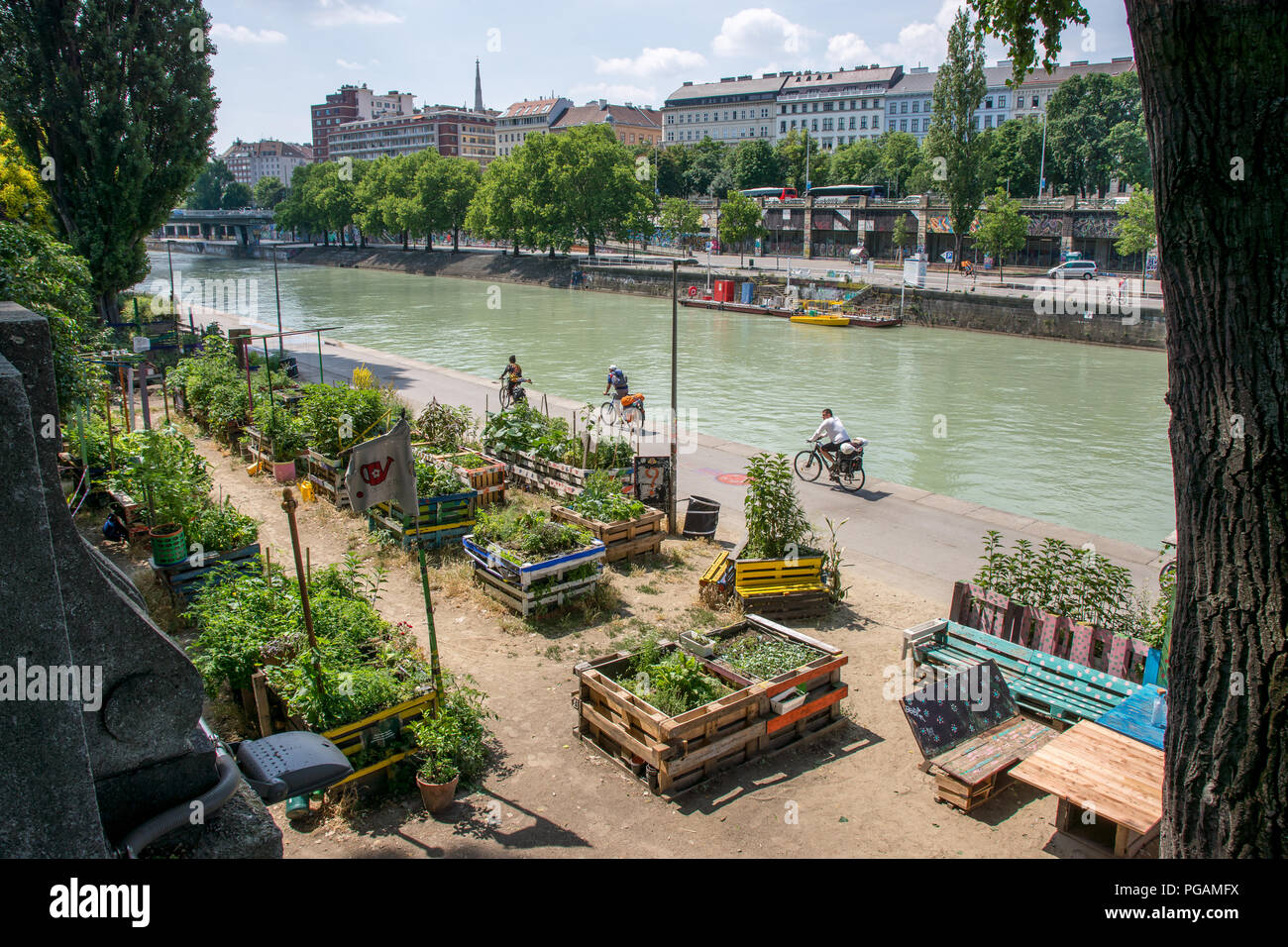 Radweg auf der Donau in Wien Gemüsebeeten mit Palette Möbel Stockfoto
