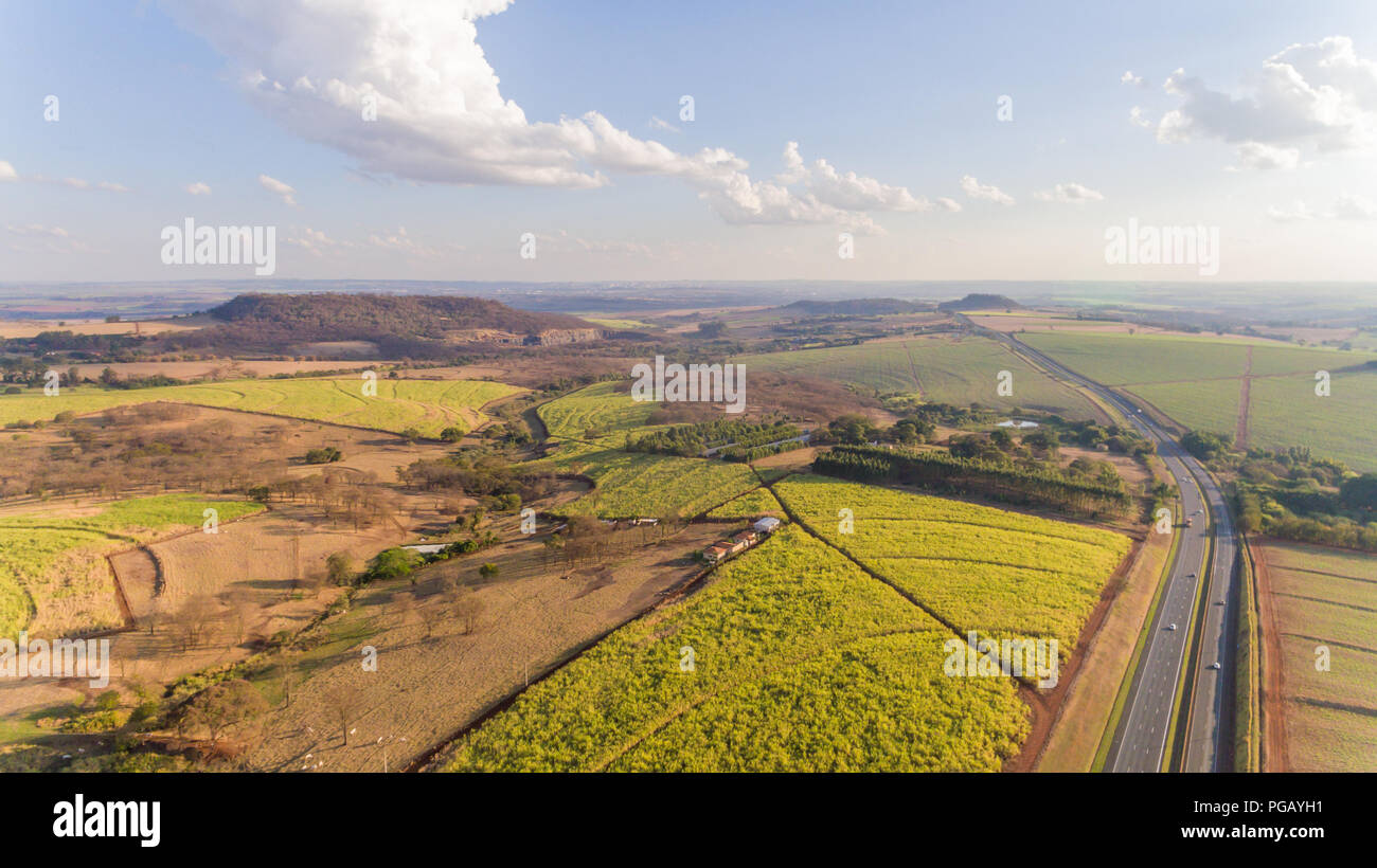 Zuckerrohrplantage Feld Luftbild mit Sonnenlicht. Landwirtschaft Industrie. Stockfoto