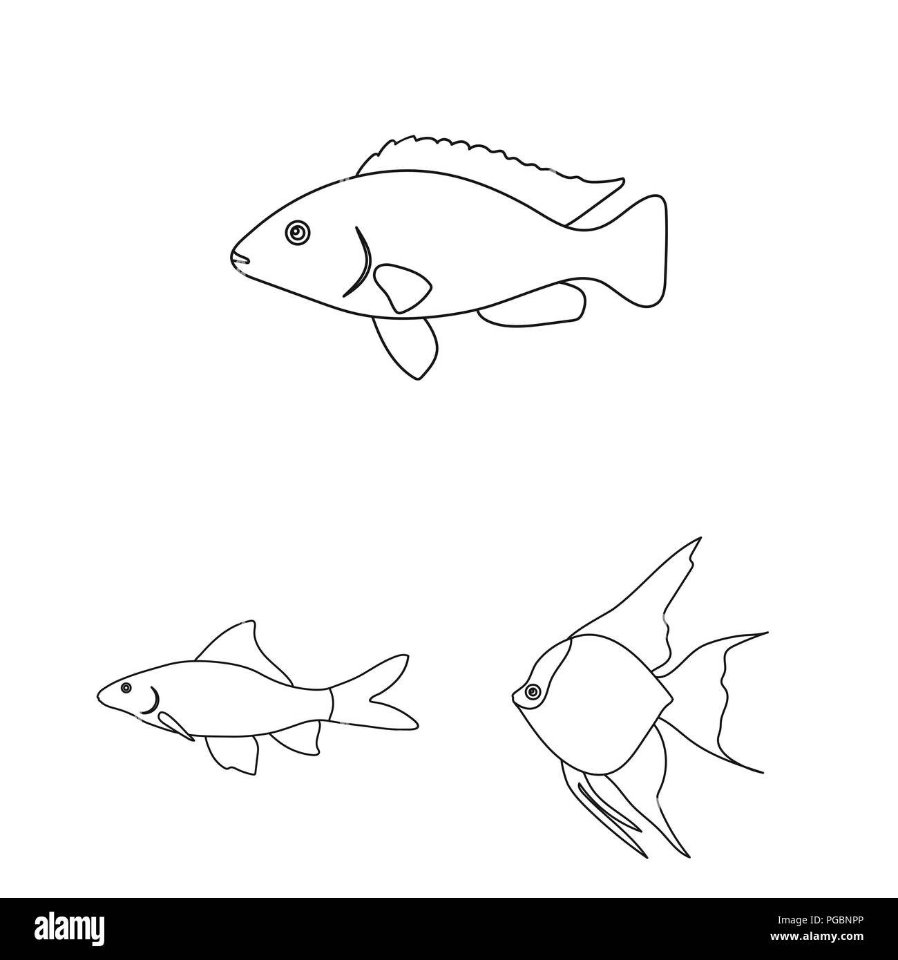 Verschiedene Arten von Fisch Umrisse Symbole im Set Sammlung für Design