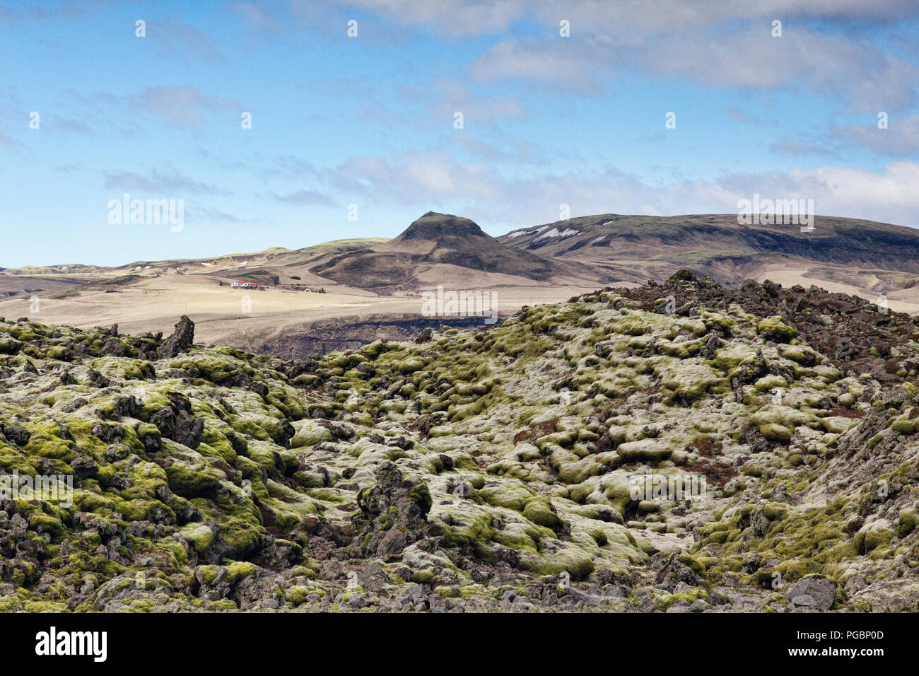 Moos bedeckt alten Lavafeld bei Skaftareldahraun, South Island Stockfoto