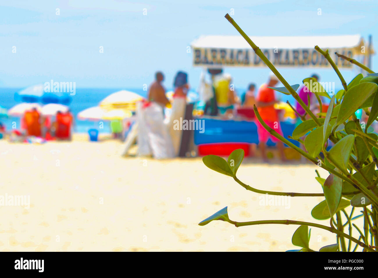 Strand Hintergrund mit bunten Beachwear mit grün Blatt Pflanze im Vordergrund alle mit Platz für Kopie über Sand Stockfoto