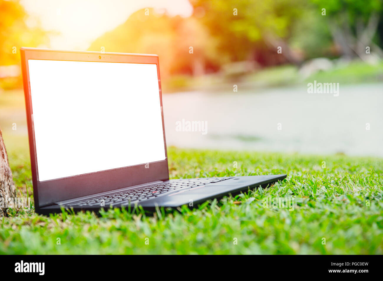 Laptop Computer, am grünen Gras im freien Natur Park leerer Bildschirm Stockfoto