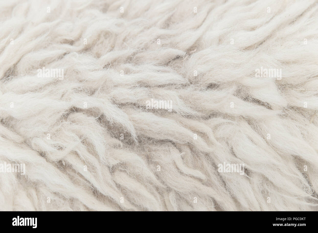 Hohe Detailtreue von Schafen Fell Haut Textur muster für den Hintergrund Stockfoto