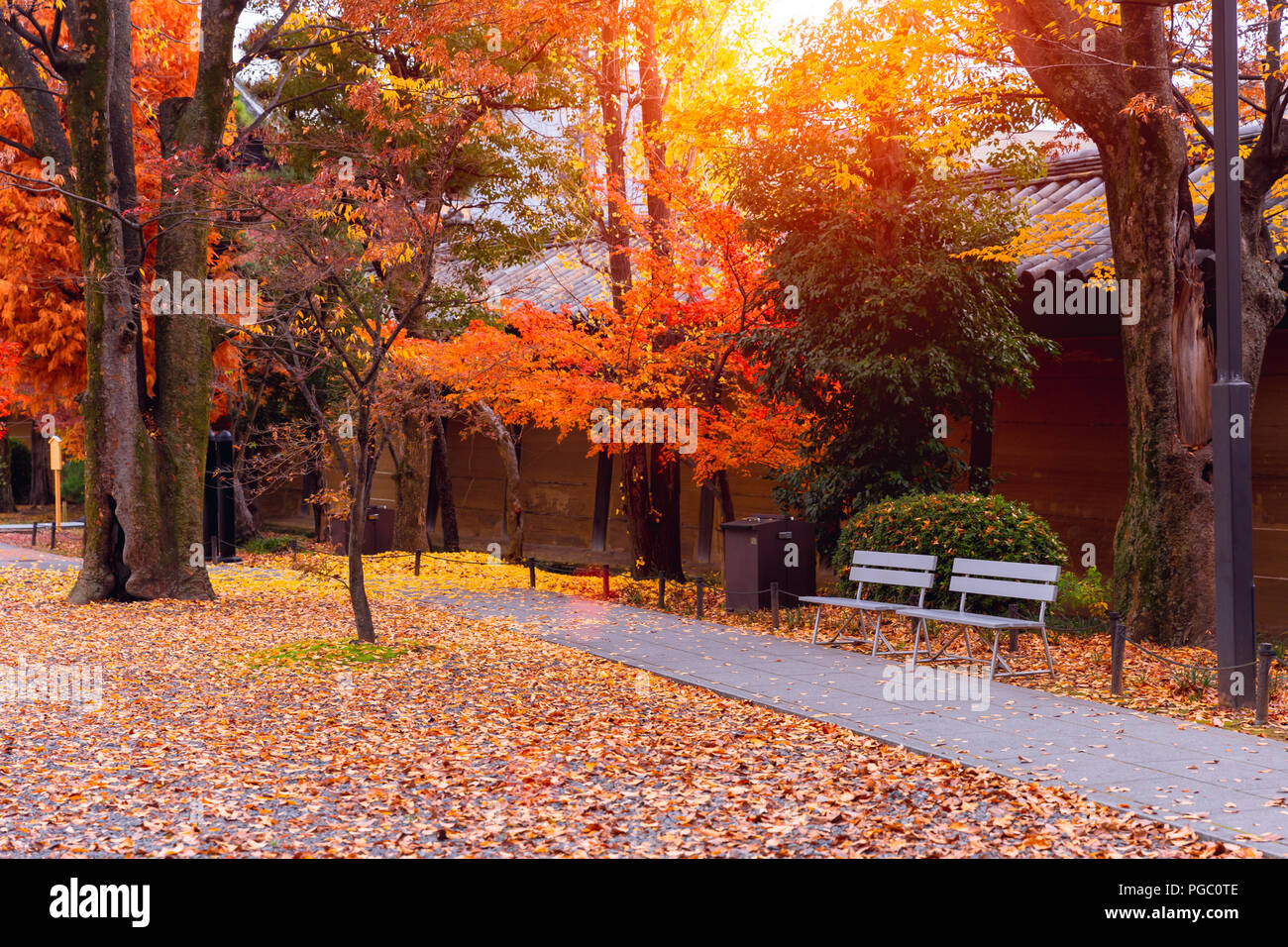 Herbst Garten Herbst rote Laub schönen Park Outdoor Stockfoto