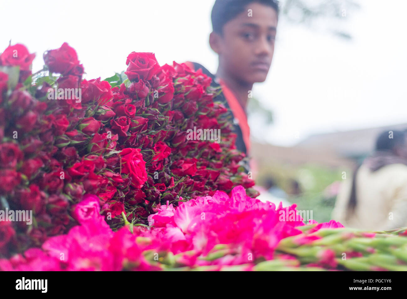 Grosshandel Blumen Markt, godkhali, Jhikorgacha, jessore 2016 Stockfoto