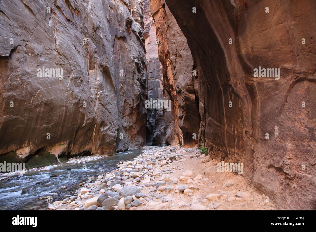 Rote Wände Der verengt Wanderung im Zion National Park Stockfoto