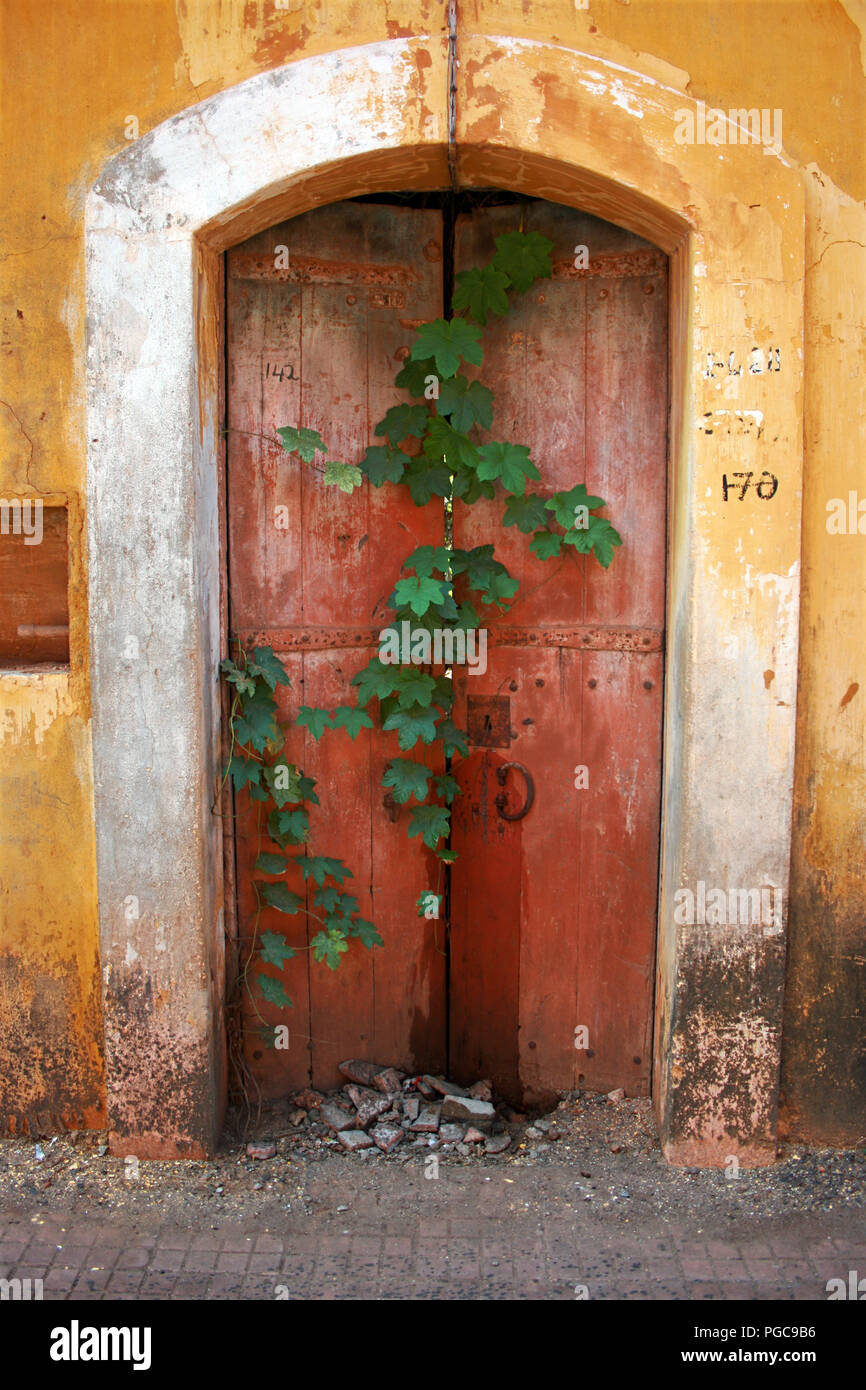 Tür in Panaji, Goa, Indien Stockfoto