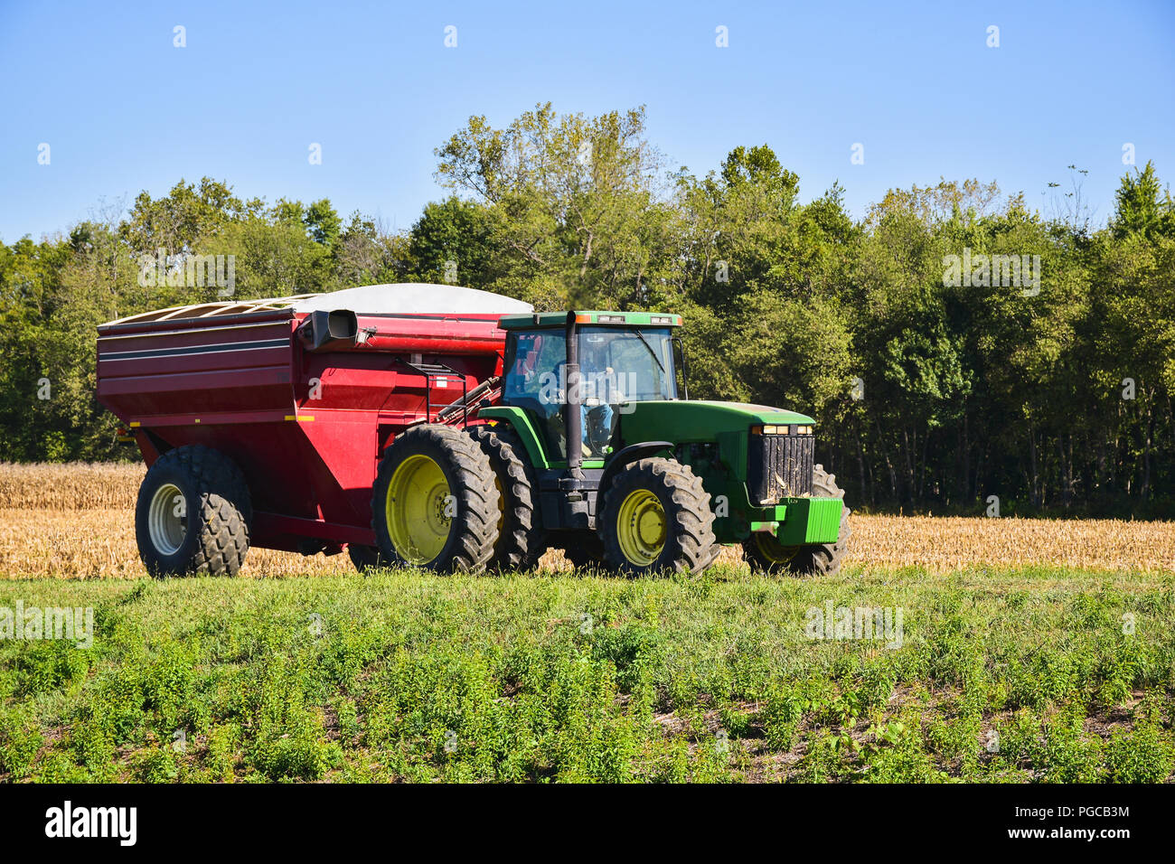 Traktor ziehen einer roten Harvester in einem Feld unter einem klaren blauen Himmel Stockfoto