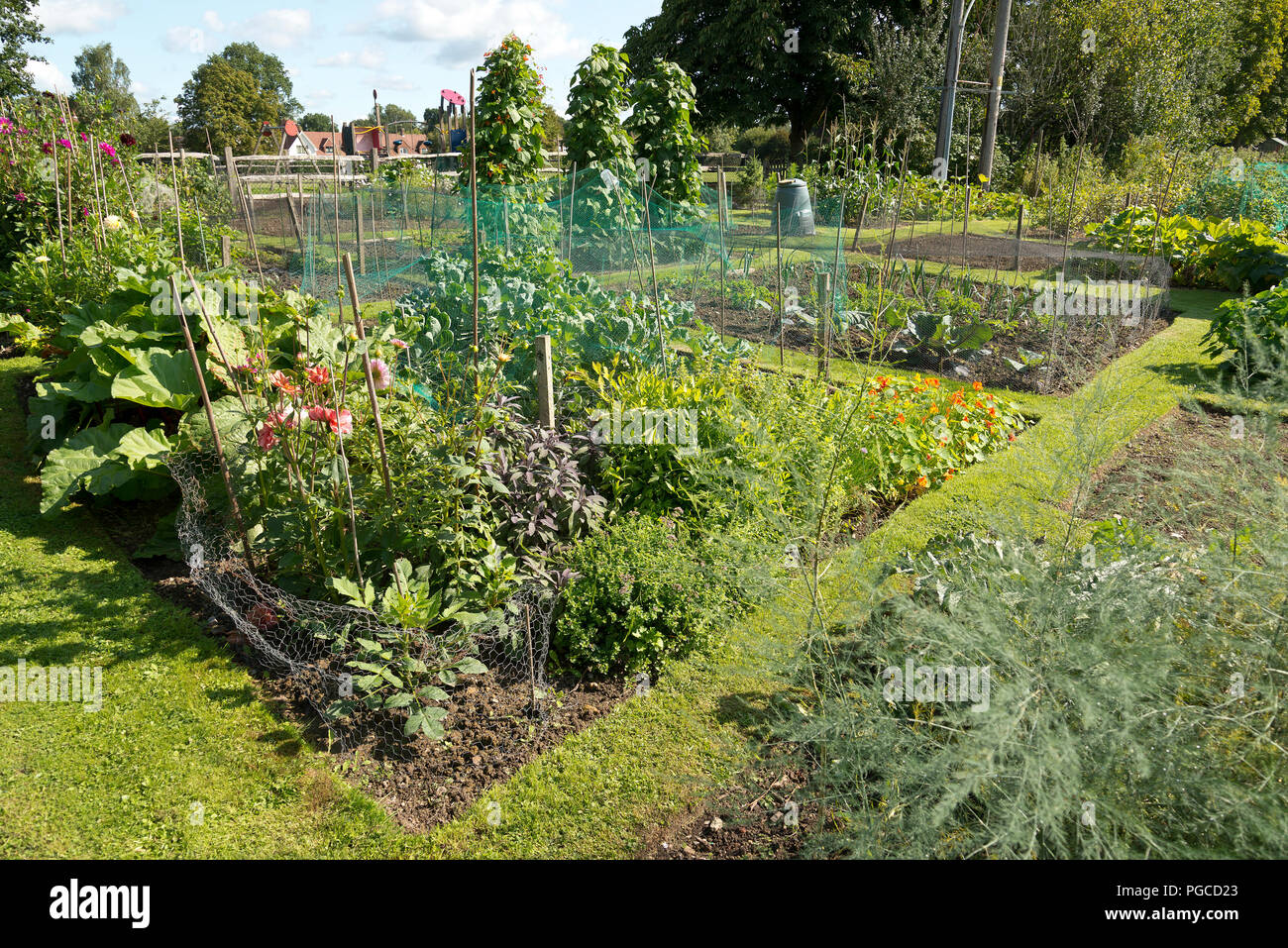 Eine ländliche Schrebergarten mit Obst und Gemüse wächst, im Spätsommer. Stockfoto
