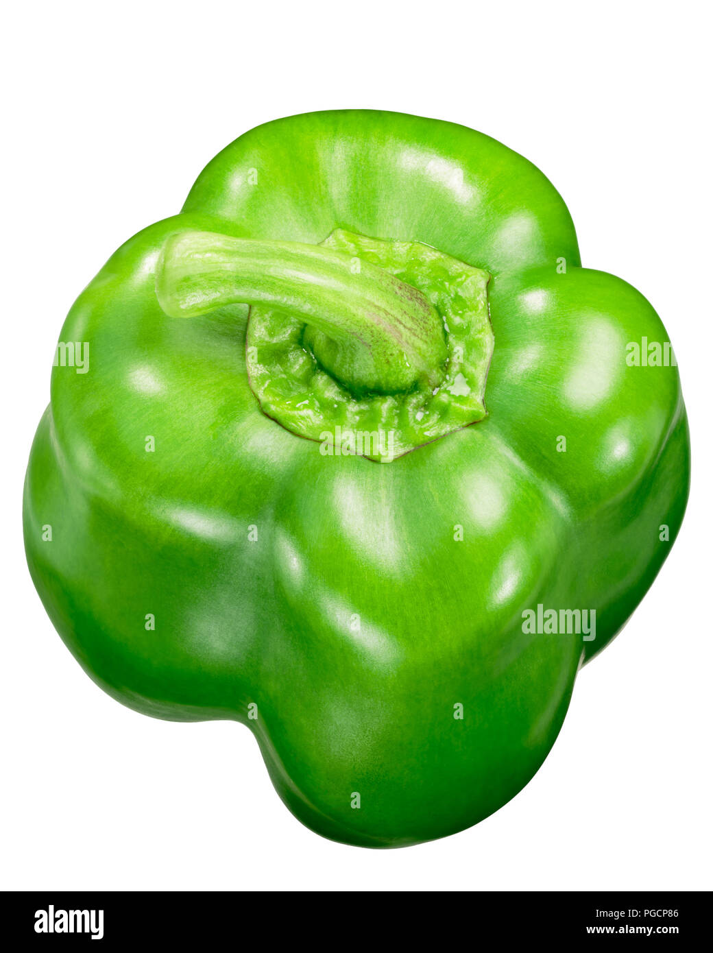 Yolo Wonder grün süße Paprika (Capsicum annuum), eine verbesserte Version von Kalifornien Wunder, Ansicht von oben Stockfoto