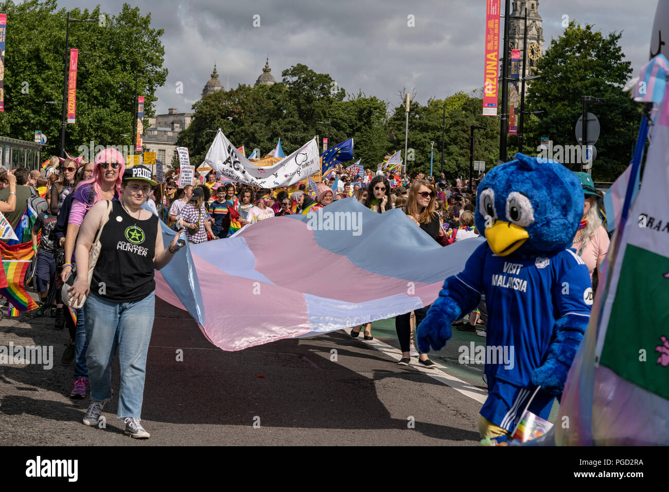 Cardiff, Wales, 25. August 2018: Demonstranten nehmen an der jährlichen Stolz Cymru Parade in Cardiff, Wales am 25 August, 2018 © Daniel Damaschin Credit: Daniel Damaschin/Alamy leben Nachrichten Stockfoto