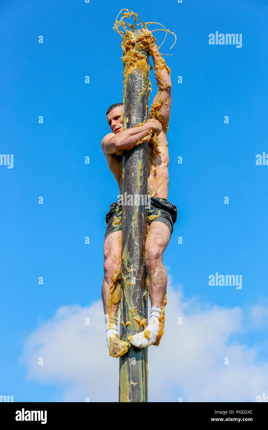 Irvine, UK. 25. Aug 2018. Klettern die Klettermast, ein 10 Meter telegraphenmast in der Achse Fett bedeckt, ist eines der beliebtesten öffentlichen Wettbewerben der jährlichen Marymass Festival in Irvine, Ayrshire, UK. Die Wettbewerber haben die Pole in der schnellsten Zeit möglich zu klettern und eine Tasche mit einem Schinken Bein nach oben gebunden entfernen. Der diesjährige Gewinner, Cameron Affleck aus Irvine konnte gerade seinen eigenen Rekord von 1 Minute 46 Sekunden zu schlagen, aber trotzdem war der Schinken Bein so einen Preis verliehen. Credit: Findlay/Alamy leben Nachrichten Stockfoto