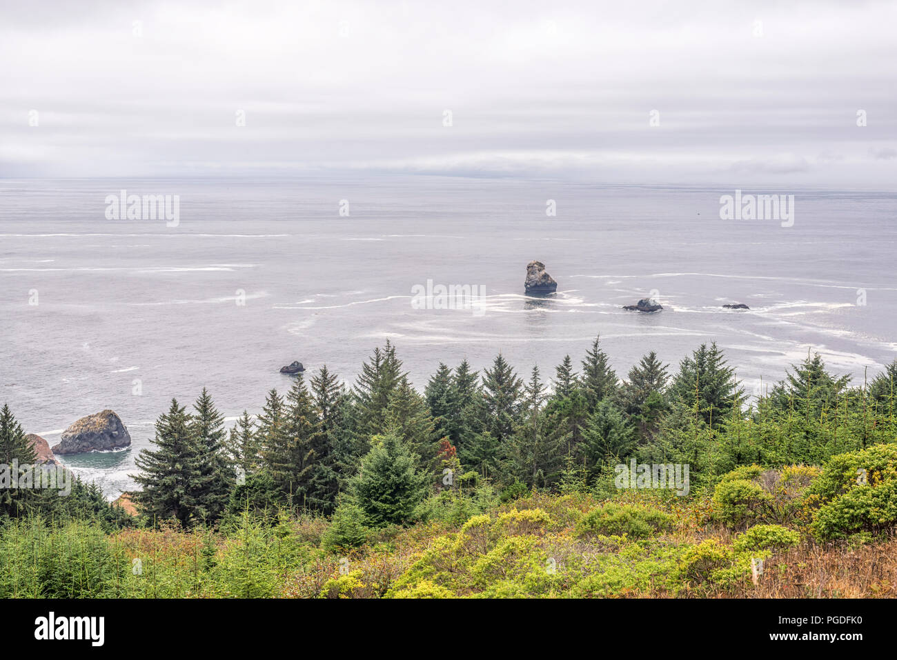 Blick von der House Rock Aussichtspunkt. Samuel H. Boardman State Scenic Korridor, südwestliche Küste von Oregon, USA. Stockfoto