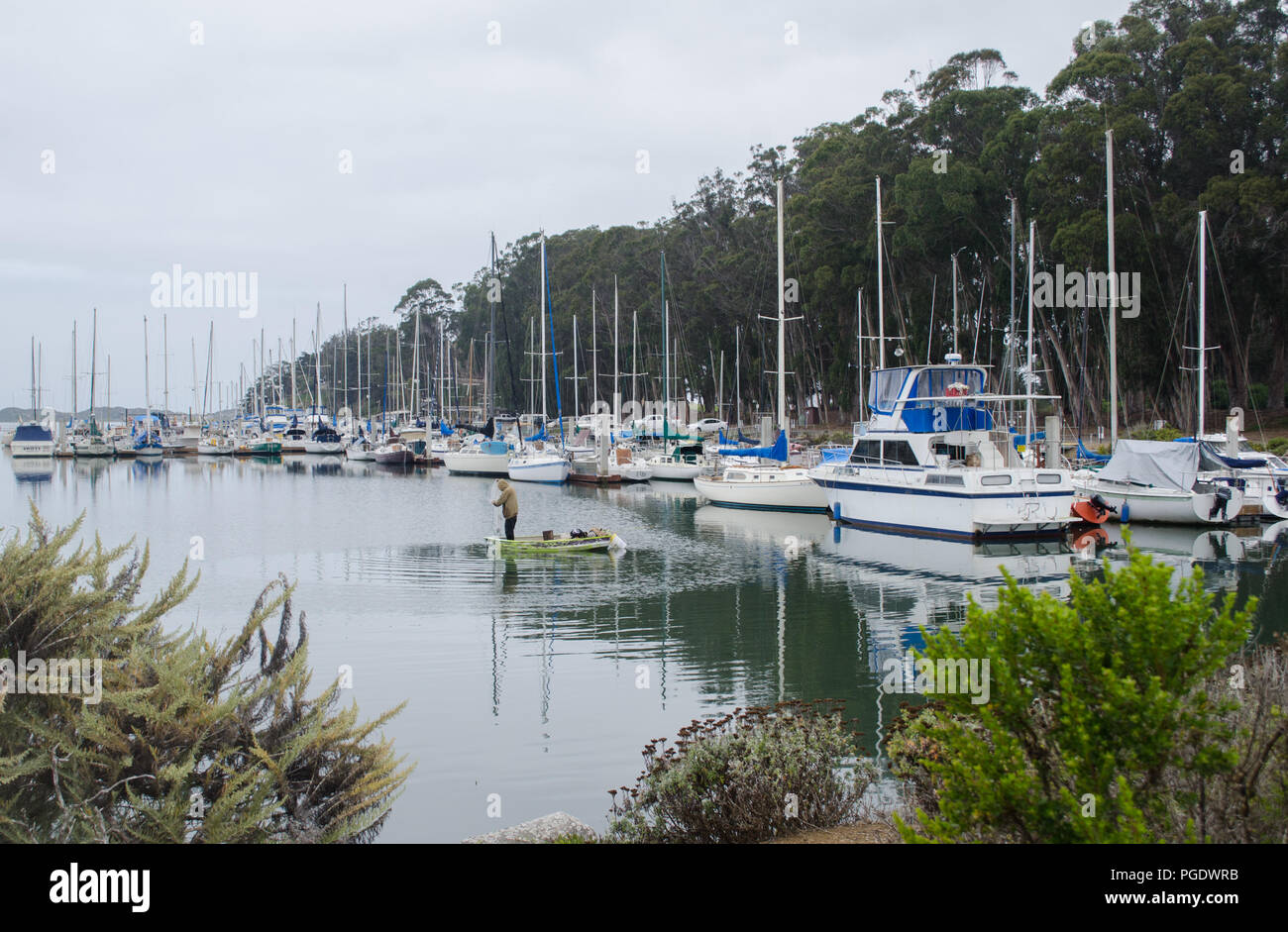 Yachten in der Marina in Morro Bay State Park Stockfoto