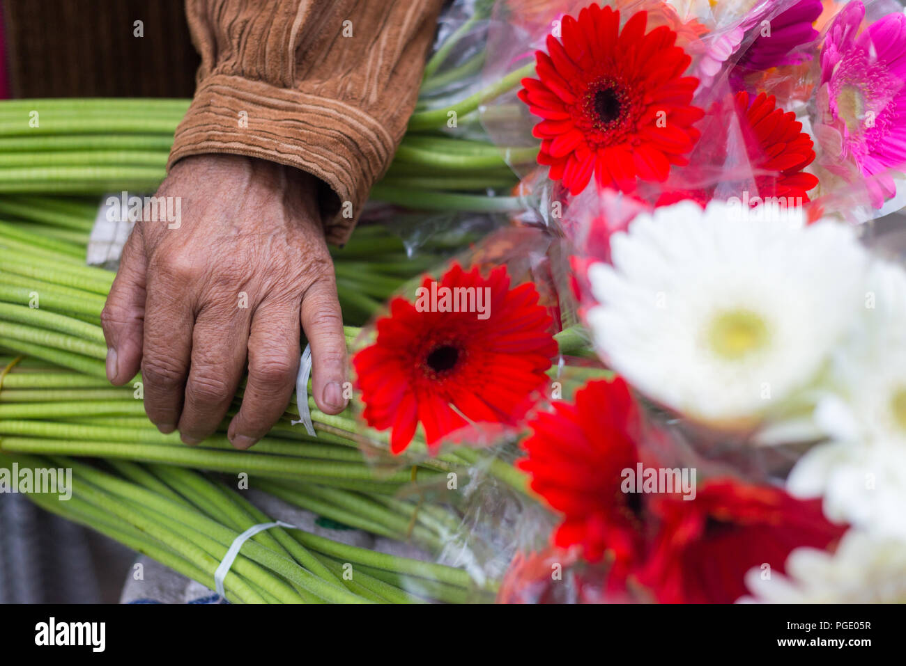 Grosshandel Blumen Markt, godkhali, Jhikorgacha, jessore 2016 Stockfoto