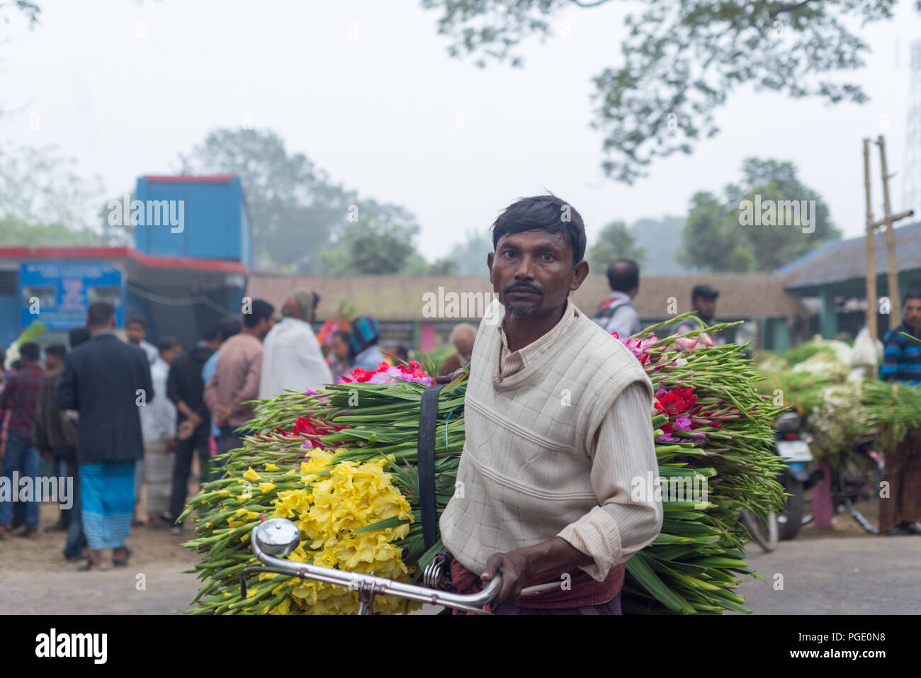 Grosshandel Blumen Markt, godkhali, Jhikorgacha, jessore 2016 Stockfoto