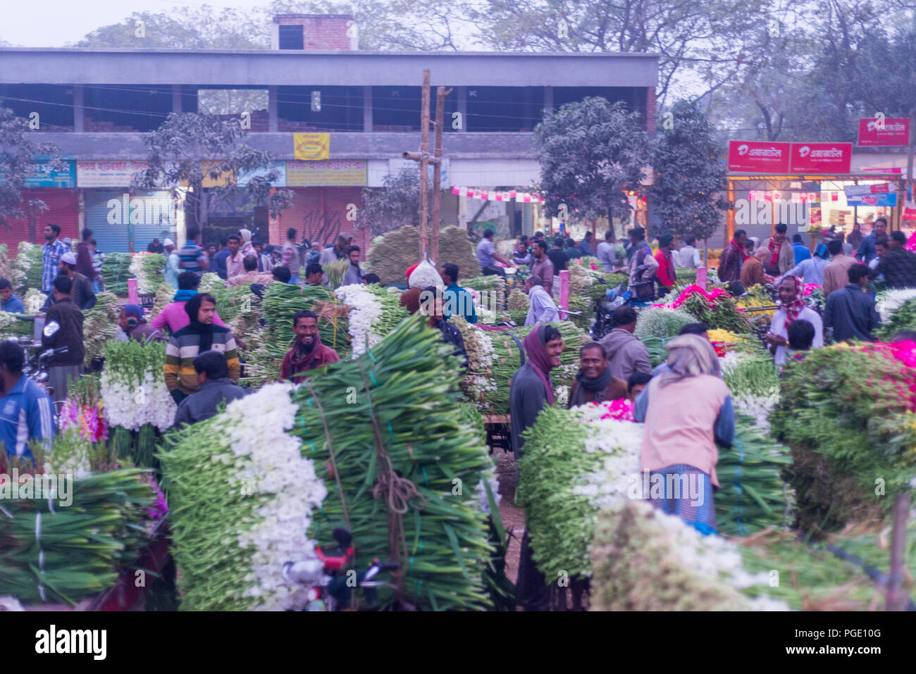 Grosshandel Blumen Markt, godkhali, Jhikorgacha, jessore 2016 Stockfoto