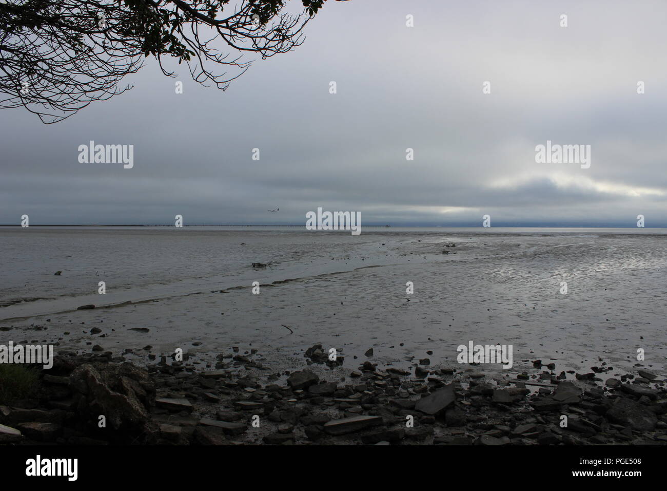 Niedrig hängenden Wolken schweben über der San Francisco Bay bei Ebbe, Kalifornien, USA Stockfoto