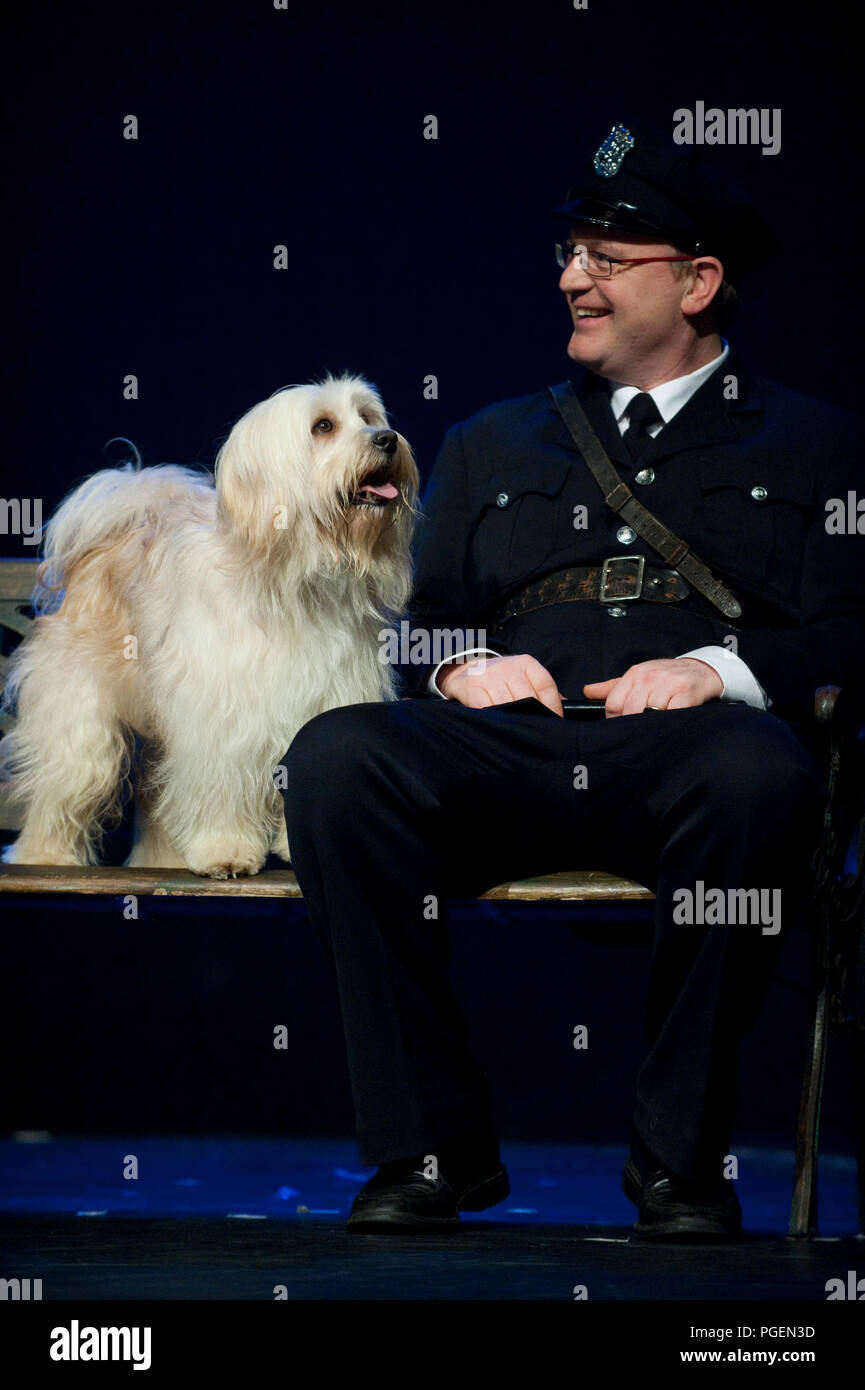 Die Broederscholen und die Heilig Hart-Basisschool Tereken aus Sint-Niklaas durchführen das Musical Annie (Belgien, 13/02/2009) Stockfoto