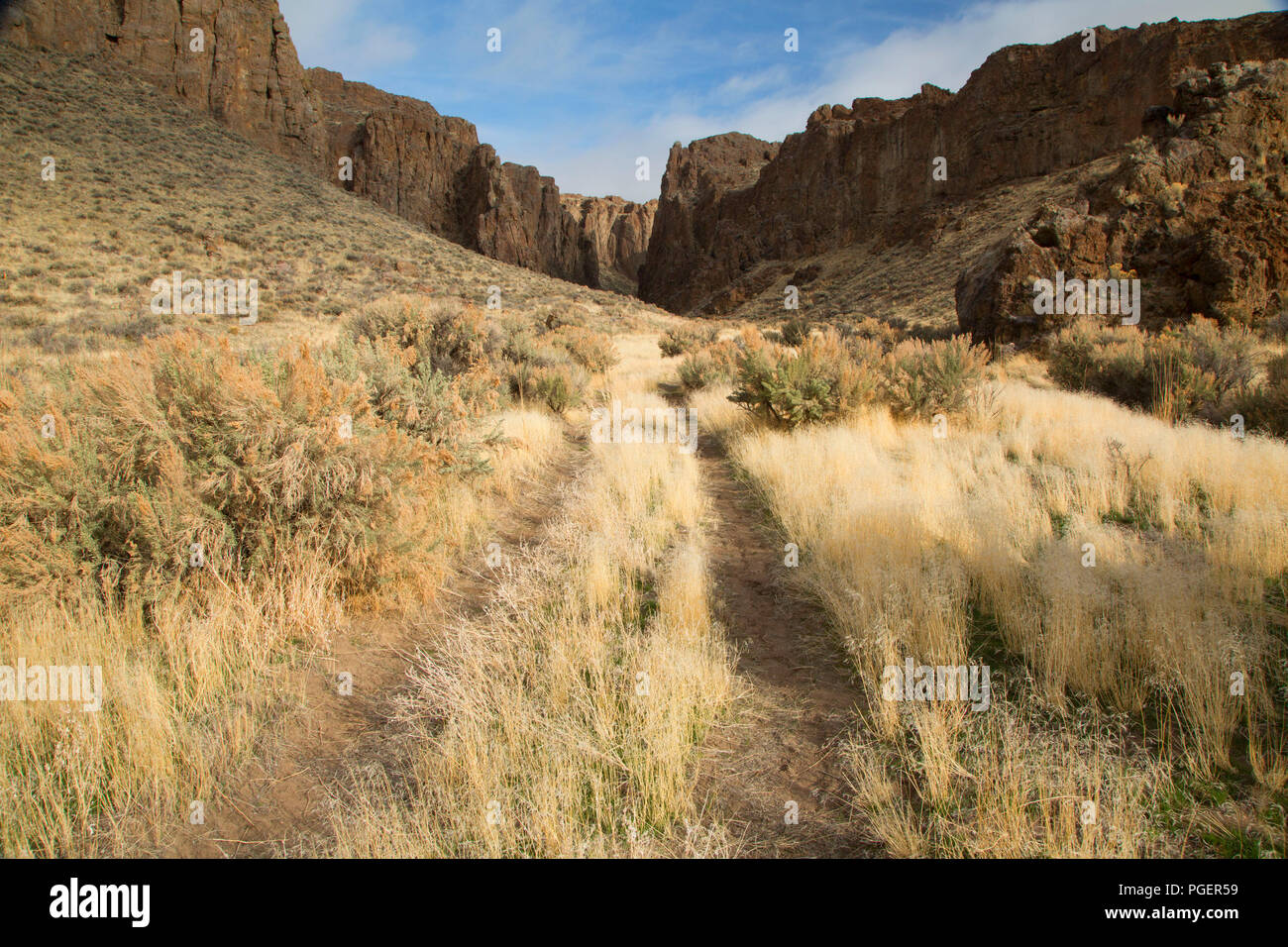 Jeep Straße nach Big Spring Creek Canyon, Sheldon National Wildlife Refuge, Nevada Stockfoto