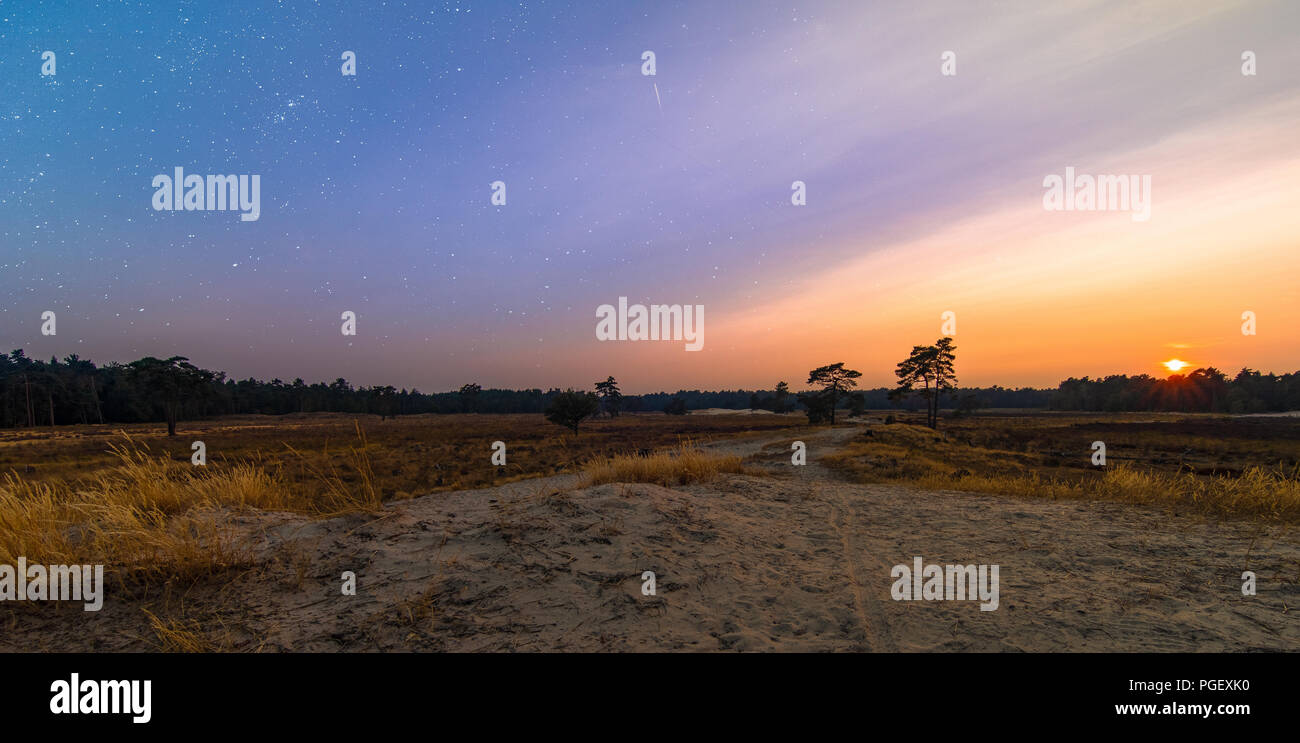 Sonnenuntergang Foto auf nationaler Park Loonse en Drunense duinen in den Niederlanden Stockfoto