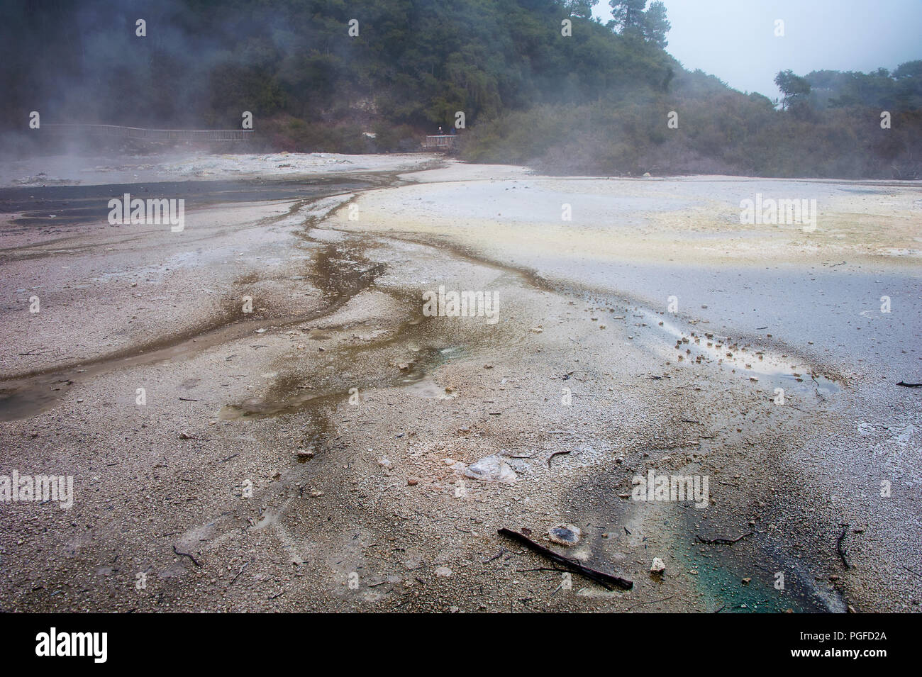 Wai-O-Tapu (heiligen Wasser) Geothermische vulkanischen Park. Dampfende Landschaft, felsigen Vordergrund Farbe von mineralischen Ablagerungen, mit grünen Wald hinter Stockfoto