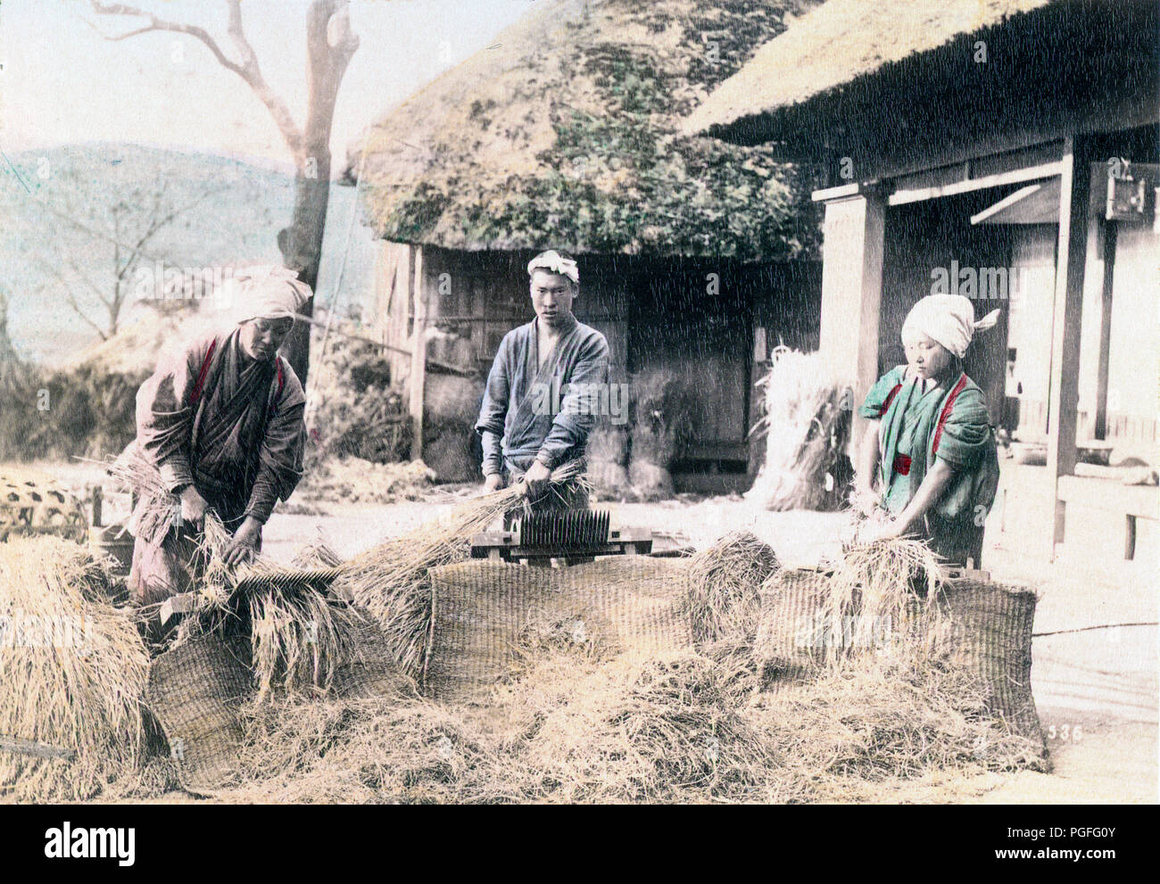 [C. 1890 Japan - Japanische Landwirte Dreschen von Reis] - Landwirte Dreschen von Reis mit einer treten, die Maschine vor der traditionellen landwirtschaftlichen Gebäuden. Die gedroschenen Reis ist die Trocknung auf Matten auf dem Boden. Original text: "Ernte die Ernte von Reis." Eiweiß foto Nobukuni Enami, 1890 in Japan veröffentlicht wurde, beschrieben und illustriert durch die Japaner', Shogun Ausgabe herausgegeben von Kapitän F Brinkley. 1897 von J B Hirse Company, Boston, Massachusetts, USA veröffentlicht. 19 Vintage albumen Foto. Stockfoto