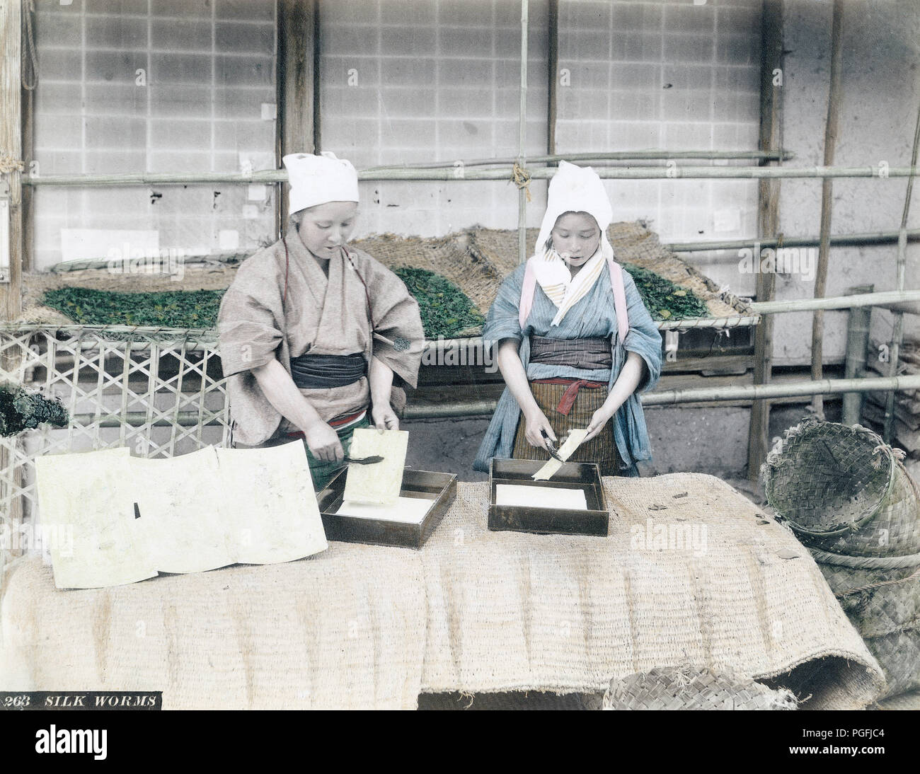 [C. 1880 Japan - Japanische Seide Anbau] - Zwei Frauen arbeiten mit Seidenraupen. 19 Vintage albumen Foto. Stockfoto