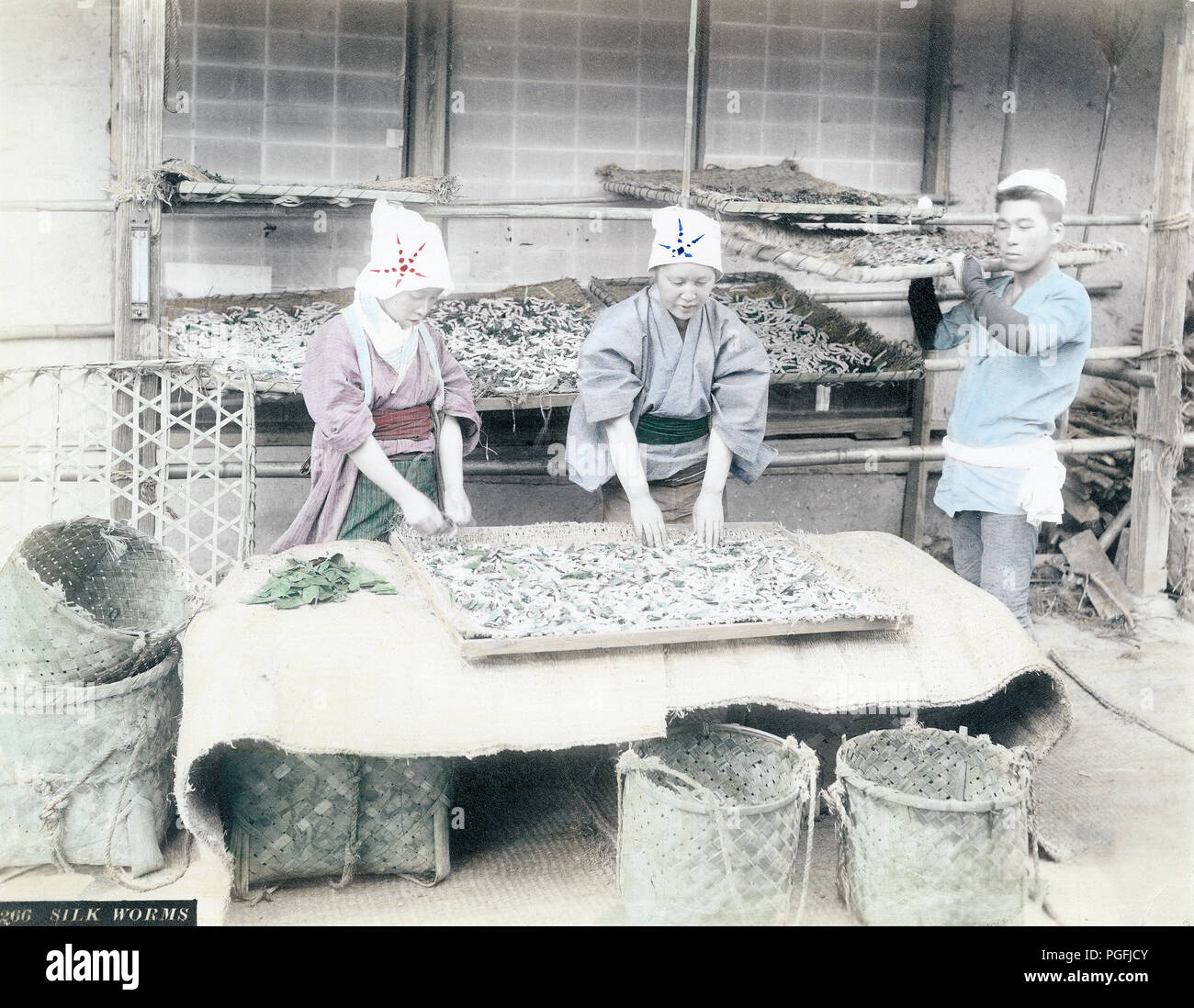 [C. 1880 Japan - Japanische Seide Anbau] - Zwei Frauen arbeiten mit Seidenraupen. 19 Vintage albumen Foto. Stockfoto