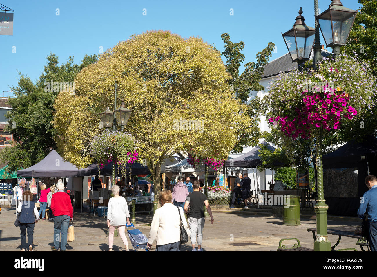 Das Carfax in Horsham Stadtzentrum, Sommerblumen in Ampeln und die Menschen auf dem Markt. Stockfoto
