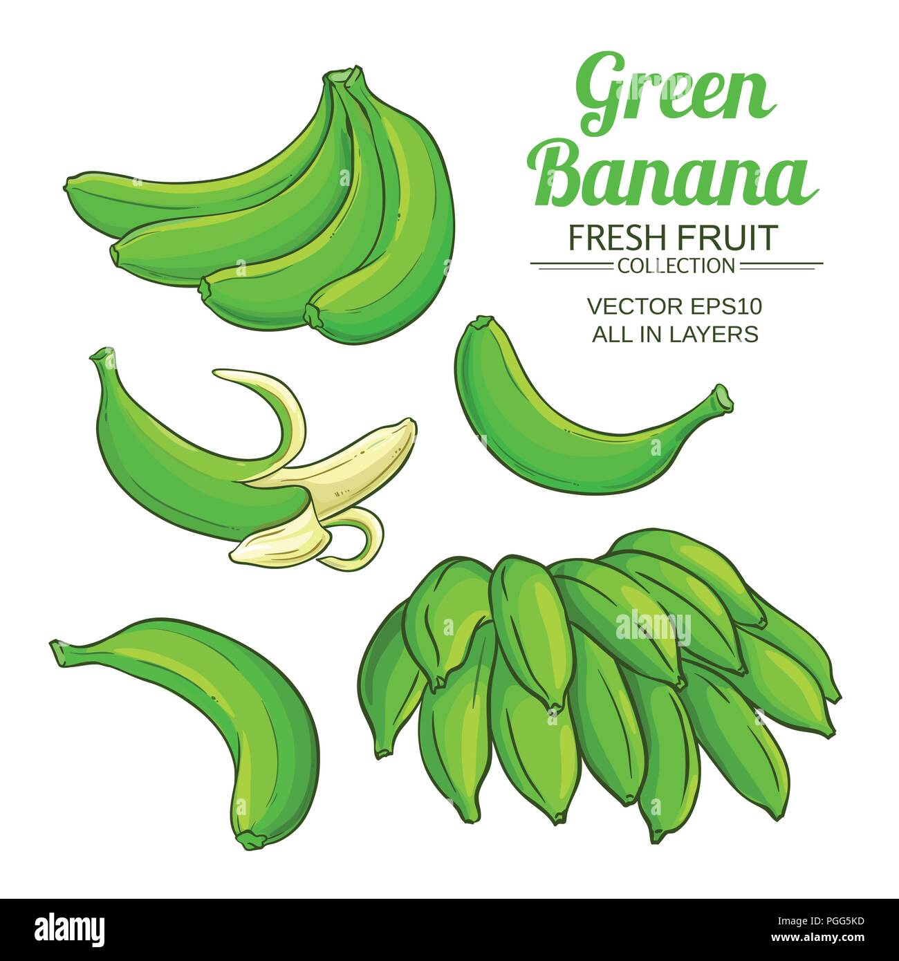 Grüner Banane Obst auf weißem Hintergrund Stock Vektor