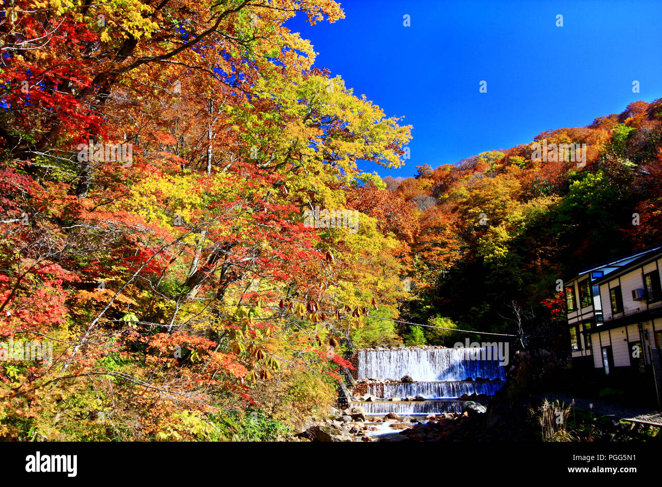 Schöne Ausblicke auf die Landschaft von bunten Herbst Wald mit blauem Himmel in Hot Spring Resorts von Nyuto Onsenkyo, Akita Präfektur, Japan Stockfoto