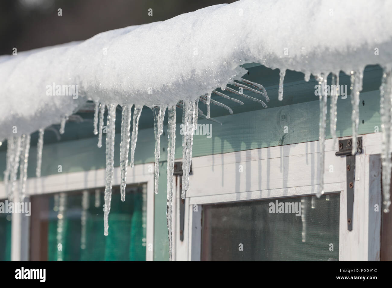Schnee und Eiszapfen hängen von einer Dachrinne in eisige Winter Bedingungen in England während das Tier aus dem Osten Sturm. Gartenhaus in der Nähe des gefrorenen w Stockfoto