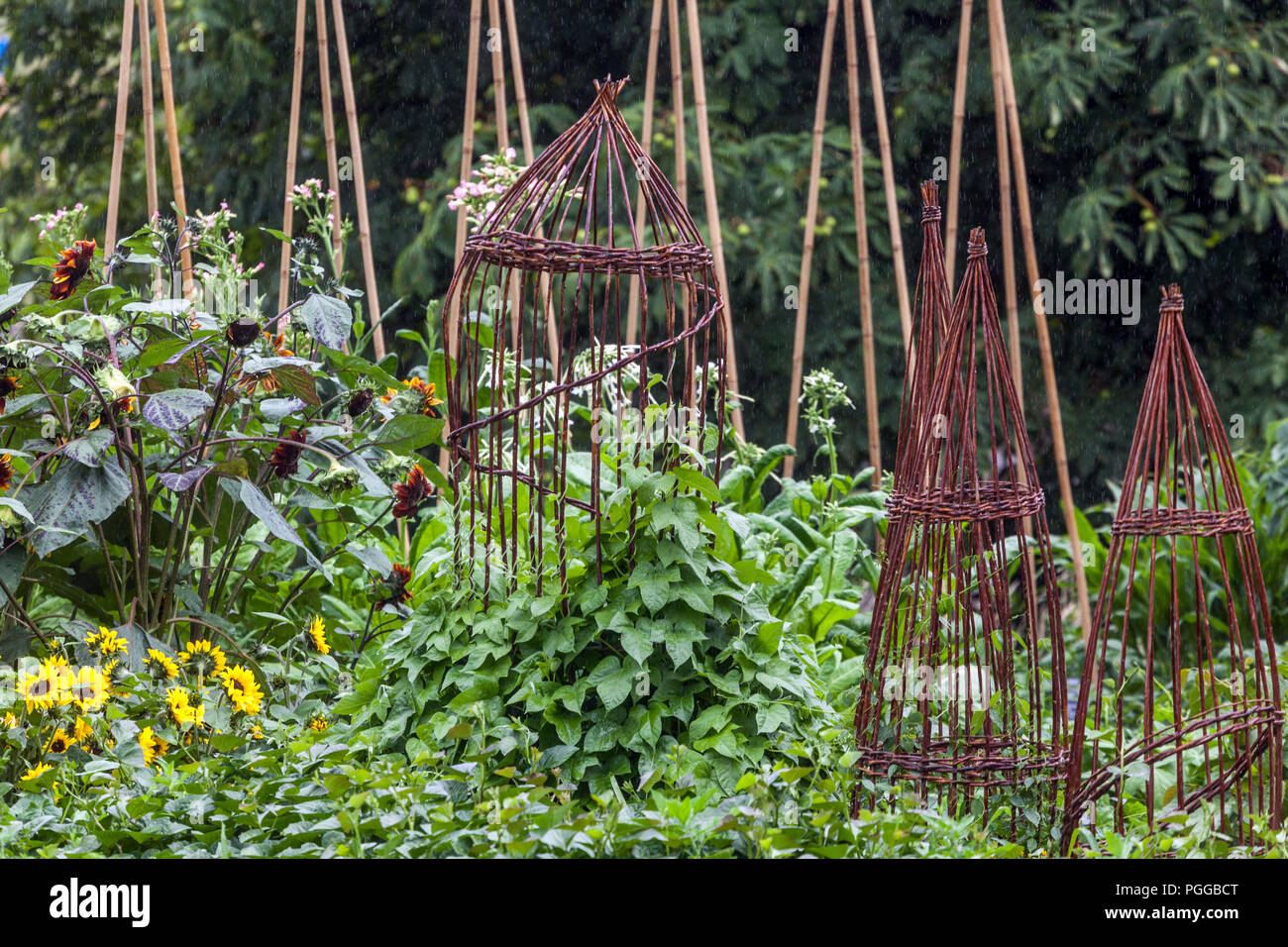 Wicker-Unterstützung im Permakultur-Garten gemischte Blumen und Gemüse wachsen zusammen ruhige Zufluchtsorte umweltfreundliche Gartenpflanzen im grünen Garten Stockfoto