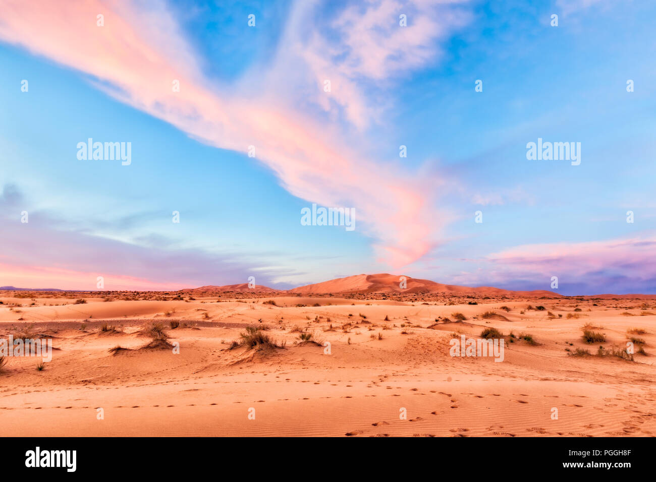 Rosa Wüste Sahara Sonnenaufgang über grosse orange Sanddünen. Spektakuläre wolken Streifen über die Pastell-blaue Himmel. Lage: Marokko Stockfoto