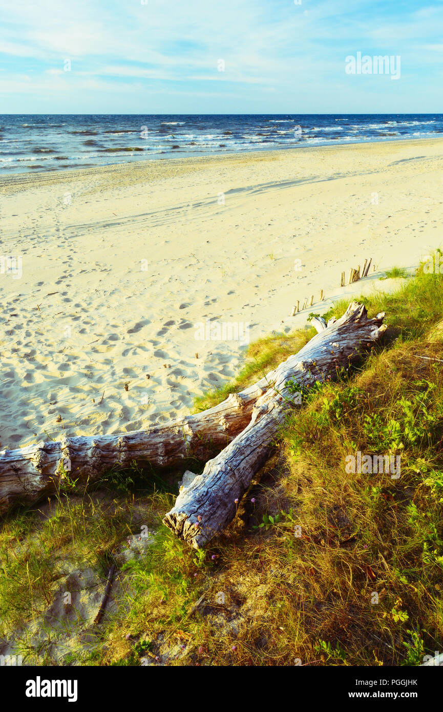 Schöne leere Ostsee Strand. Landschaftlich malerischen Sommer Seascape. Ostseeküste, Stegna, Pommern, Polen. Stockfoto