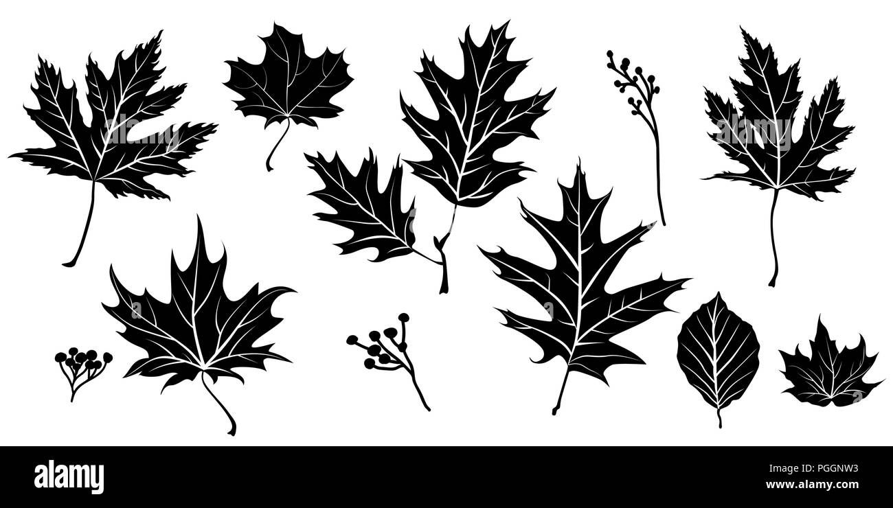 Natur silhouette isoliert Stock Vektor