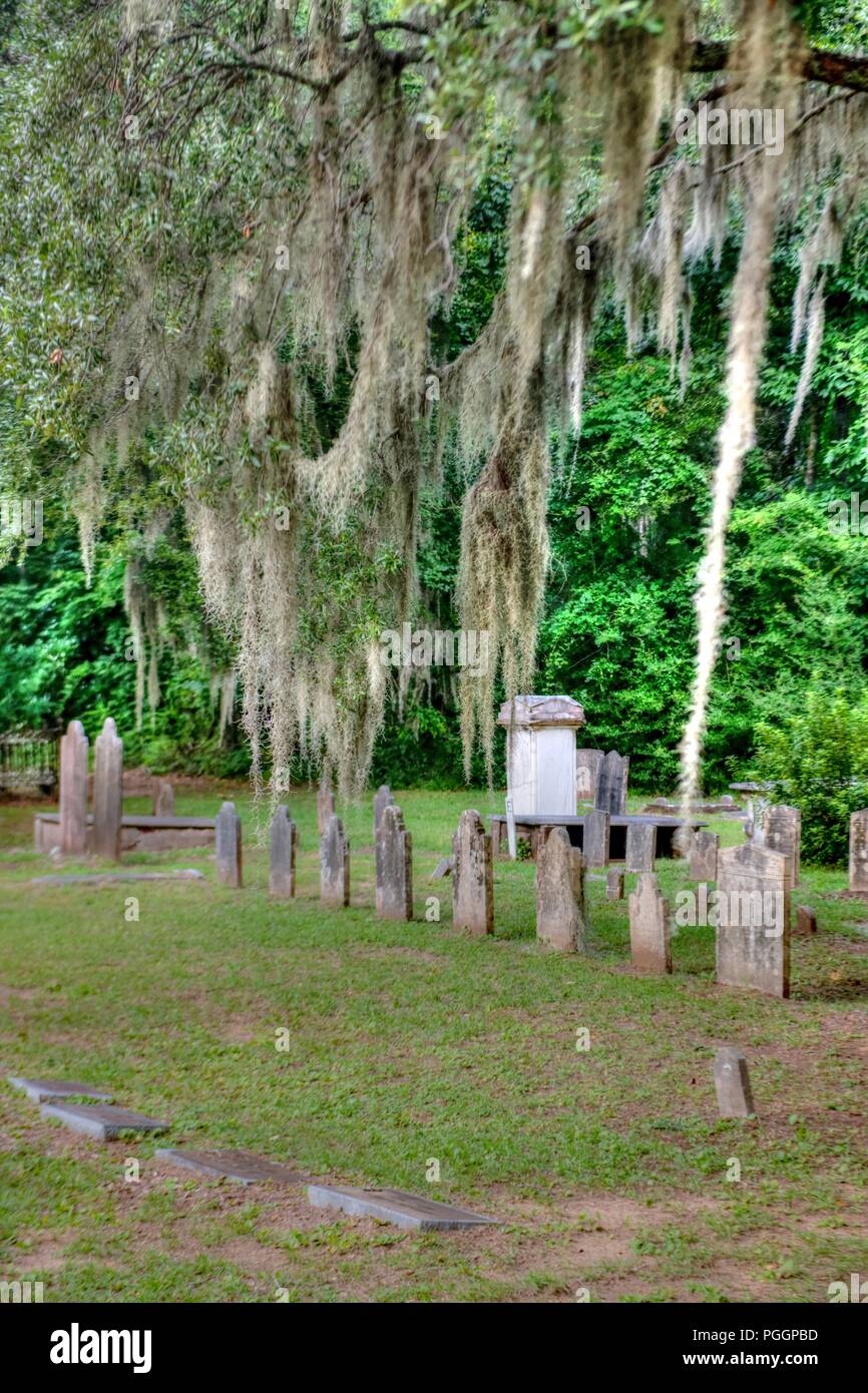 Alten südlichen Friedhof in South Carolina - Friedhof im Süden der Vereinigten Staaten mit spanischem Moos und alte Grabsteine sichtbar - Tillandsia usneoides Stockfoto