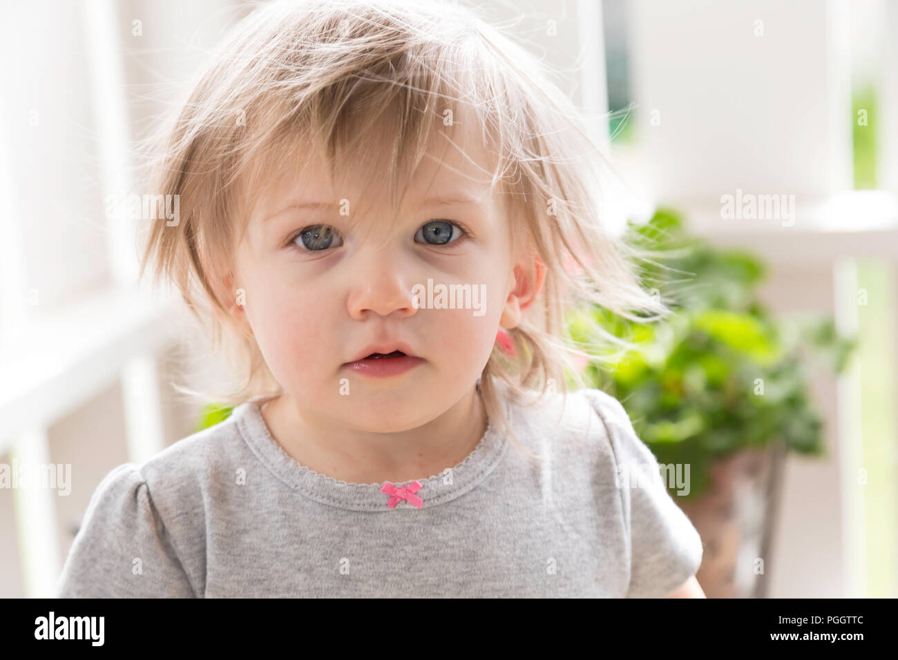 Eineinhalb Jahre altes Mädchen, MT, USA Stockfoto