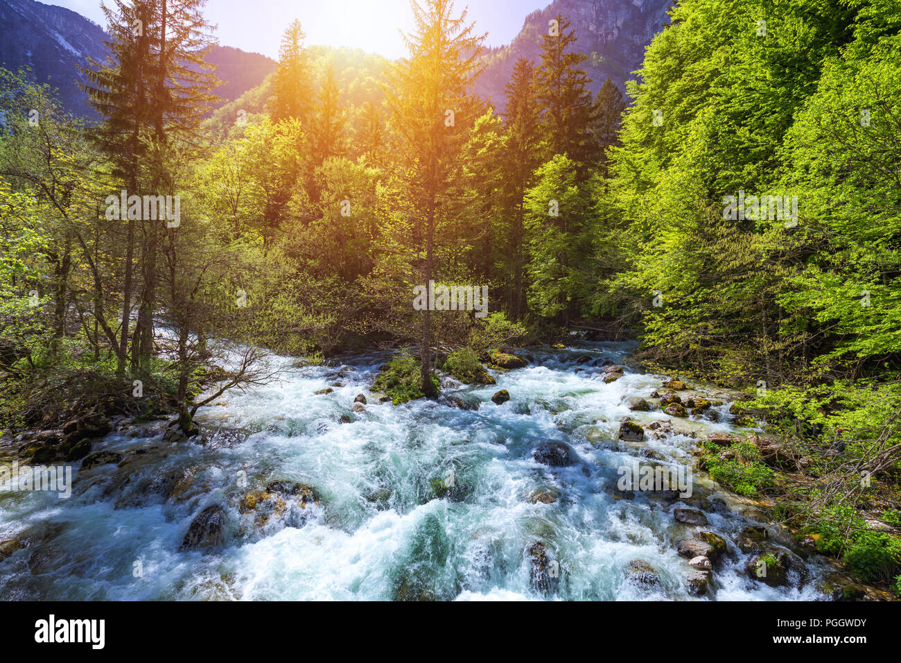 Cold Mountain Stream aus Wasserfall Savica, Fluss Sava in der Nähe von Lake Bohinj, Slowenische Alpen, Slowenien. Der Sava Bohinjka ist ein Oberlauf des Flusses Sava Stockfoto